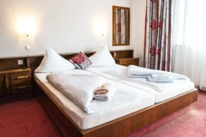 Room in Hotel Rossmann