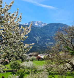 Ausblick Nebengebäude - Hotel Rossmann